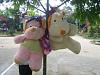 Picture 076.jpg