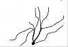 7.png