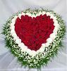 RVGFCAXOCWKSCAS8F03HCAEPEHSNCAPEKWBTCA1ZYG22CA407XGLCA1OX44UCABZB9GWCA1NNFX0CAZWX4E9CAVT53BECAJ1.jpg