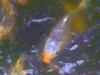 24-04-11_1609.jpg